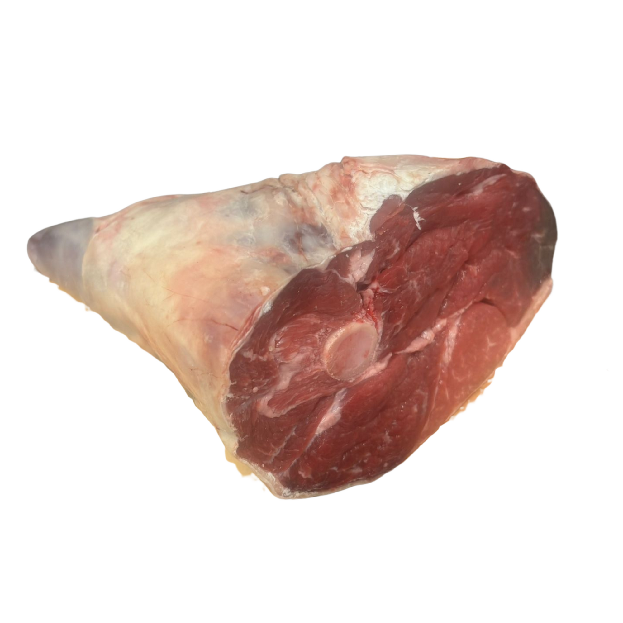 Shank End of Lamb